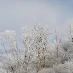 Holica Pieniny * Lesnica