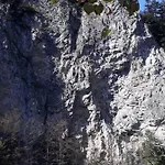 Lodge Holica Pieniny *
