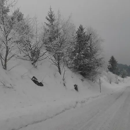 Holica Pieniny * Lesnica