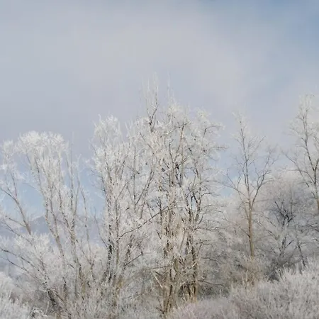 Holica Pieniny * Lesnica