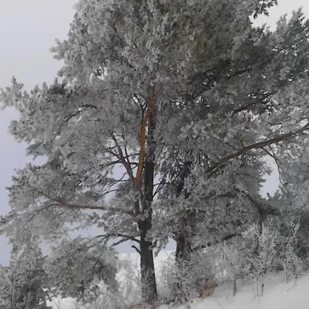 Holica Pieniny Domek letniskowy