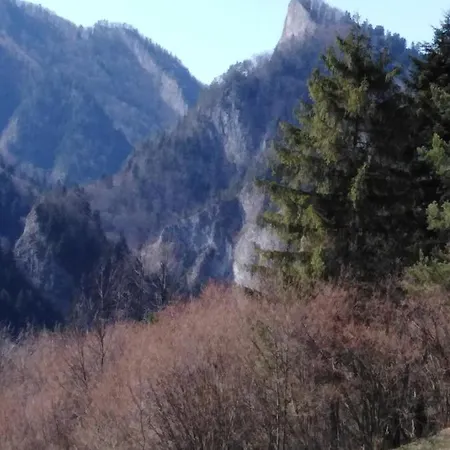 Holica Pieniny Lesnica