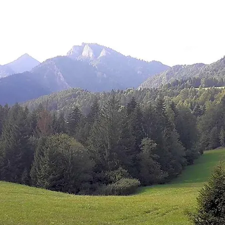 Holica Pieniny * Lesnica