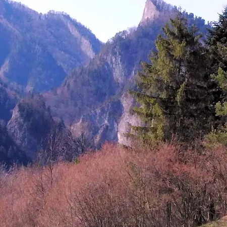 Holica Pieniny ロッジ Lesnica