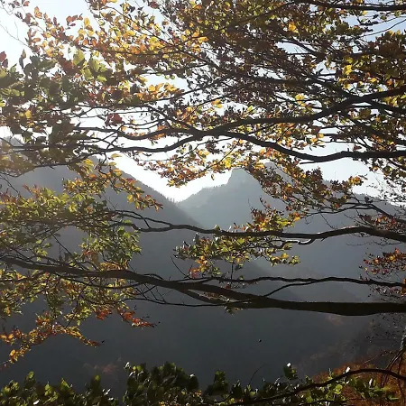 Orman Evi Holica Pieniny *