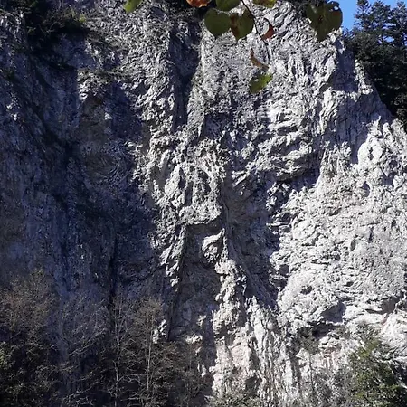 Orman Evi Holica Pieniny *