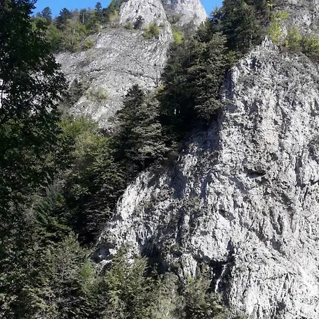 Domek letniskowy Holica Pieniny Lesnica