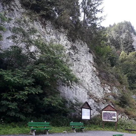 Orman Evi Holica Pieniny Lesnica