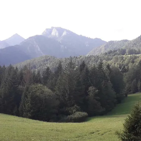 Holica Pieniny Chata
