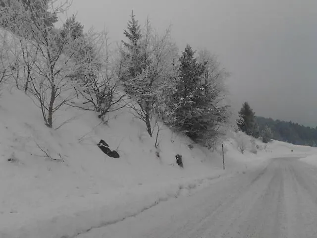 Holica Pieniny * Lesnica