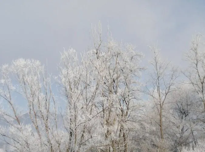 Holica Pieniny * Lesnica