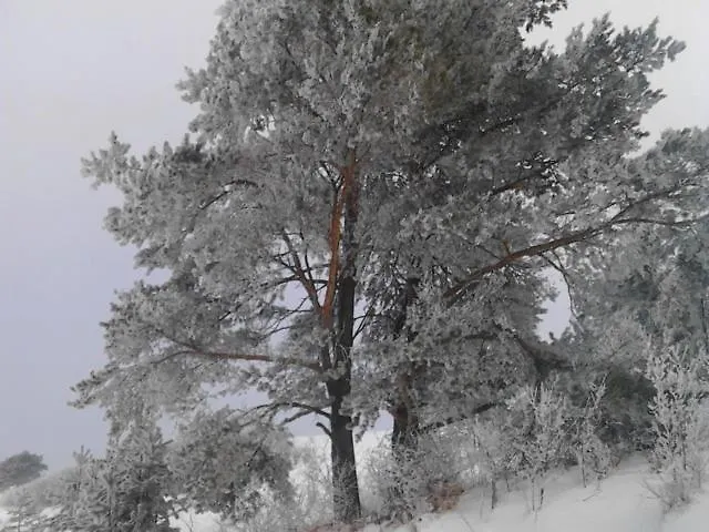 Holica Pieniny Lodge