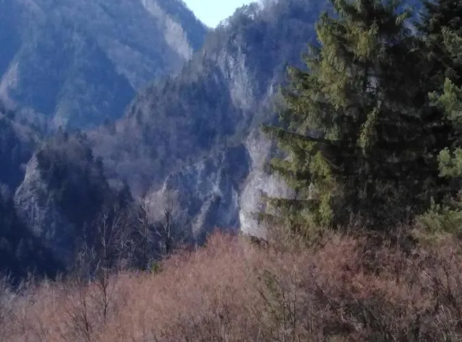 Holica Pieniny Lesnica