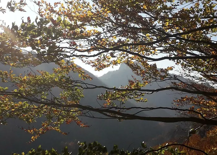 롯지 Holica Pieniny *