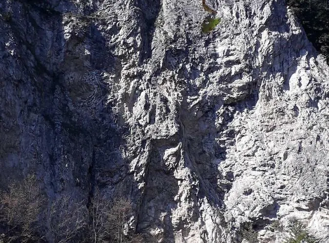 Jaktstuga Holica Pieniny *