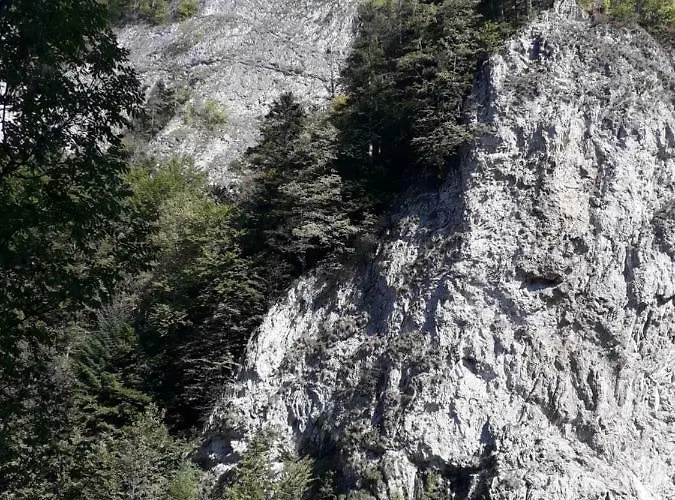 Lodge Holica Pieniny Lesnica